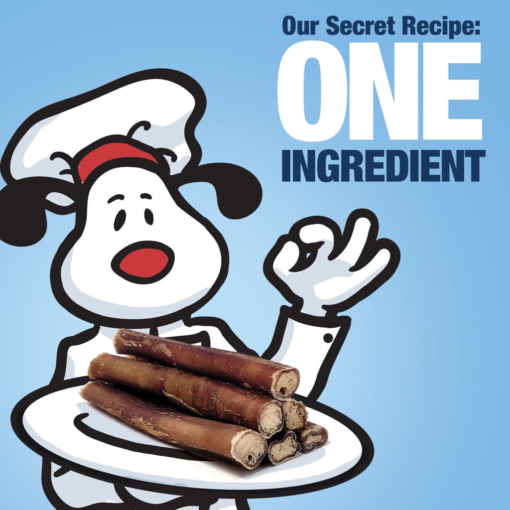 Bully Sticks for Dogs, Medium 6 Inch, 100 Count - All Natural Dog Treats, 100% Beef Pizzles, Single Ingredient Rawhide Alternative 